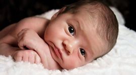 Timeline: linea de tiempo fertilización, hitos embriologicos, nacimiento.