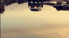 Timeline:  Calidad de vida