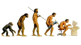 Timeline: Evolución del Liderazgo