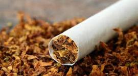Timeline: tobacco