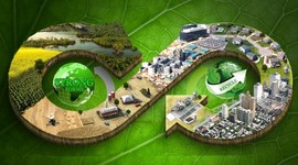 Timeline: pensamiento economico