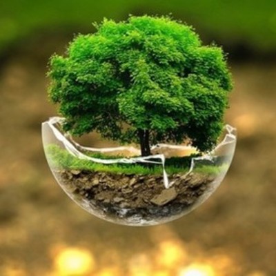 Timeline: ¿POLÍTICA -ECONOMÍA -AMBIENTE Y DESARROLLO? = DESARROLLO SOSTENIBLE