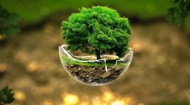 Timeline: ¿POLÍTICA -ECONOMÍA -AMBIENTE Y DESARROLLO? = DESARROLLO SOSTENIBLE