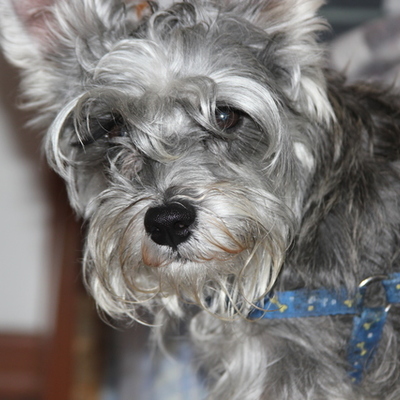 Timeline: Civilizaciones Antiguas