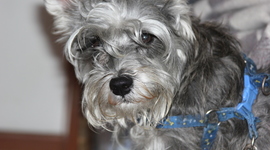 Timeline: Civilizaciones Antiguas