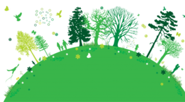 Timeline: Historia de la ecologia