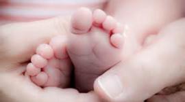 Timeline: Story of life