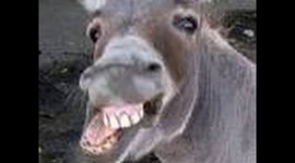 Timeline: Historia de las hojas de cálculo