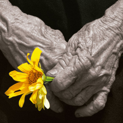 Timeline: Conflicto armado colombiano del 2012 a la actualidad