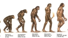 Timeline: LINEA DEL TIEMPO EVOLUCIÓN DEL HOMBRE