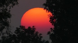 Timeline: Many different stories