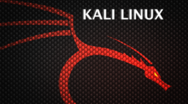 Timeline: Historia/Evolucion De BackTrack