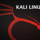 Kali blog 000 300x187