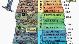 Timeline: Geologic Time- grace