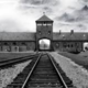 Auschwitz