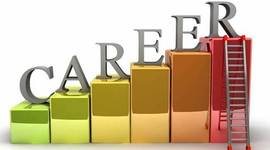 Timeline: Επαγγελαμτική σταδιοδρομία