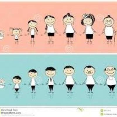 Timeline: ETAPAS DEL DESARROLLO HUMANO