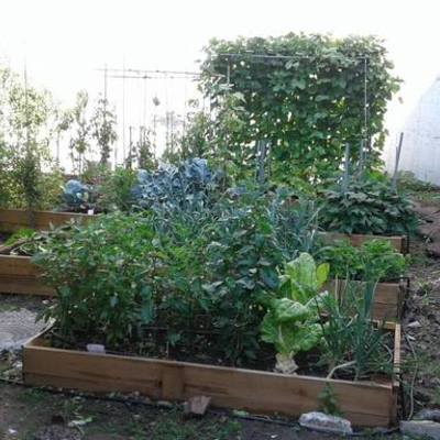 Timeline: HORTO O VERXEL /// MARZO 2017- NOVEMBRO 2017