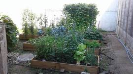 Timeline: HORTO O VERXEL /// MARZO 2017- NOVEMBRO 2017