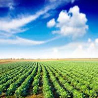 Timeline: HISTORIA DE LA REFORMA AGRARIA EN COLOMBIA