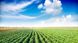 Timeline: HISTORIA DE LA REFORMA AGRARIA EN COLOMBIA