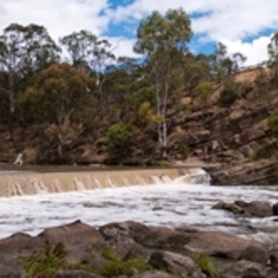 Timeline: Dights Falls History