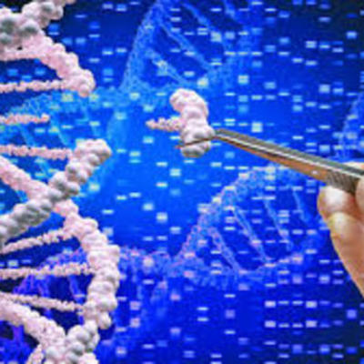 Timeline: historia de la genetica