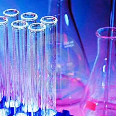 Timeline: evolution is pretty gucci