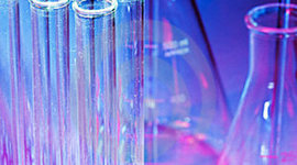 Timeline: evolution is pretty gucci