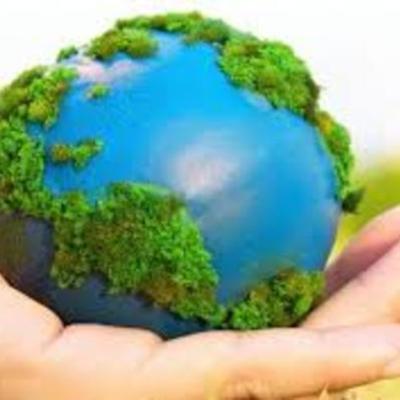 Timeline: Cooperación Internacional de Medio Ambiente