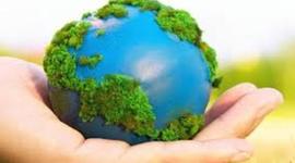 Timeline: Cooperación Internacional de Medio Ambiente