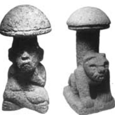 Timeline: Historia de la micología