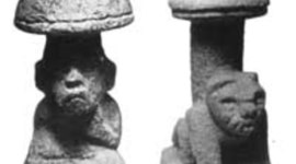 Timeline: Historia de la micología