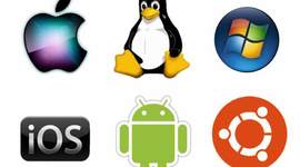 Timeline: Maria Trinidad