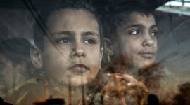 Timeline: Desplazamientos globales