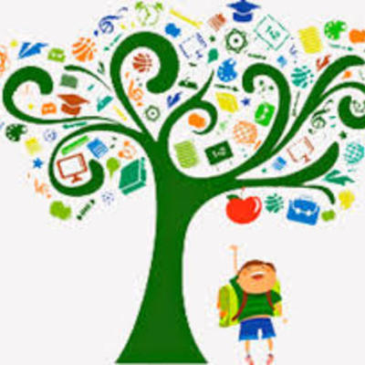 Timeline: Evolución del Concepto de RED