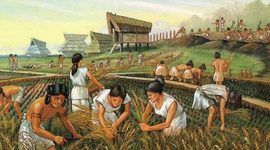 Timeline: LA PREHISTORIA