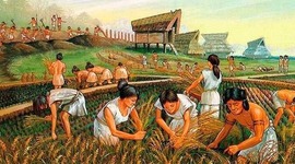 Timeline: La Prehistoria