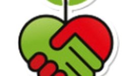 Timeline: AventA Translation & Interpreting Agency