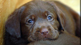 Timeline: My life by Alex