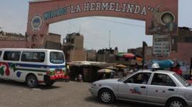 Timeline: ESTRATEGIA DE GESTIÓN Y MANEJO DE RESIDUOS SÓLIDOS DEL MERCADO LA HERMELINDA