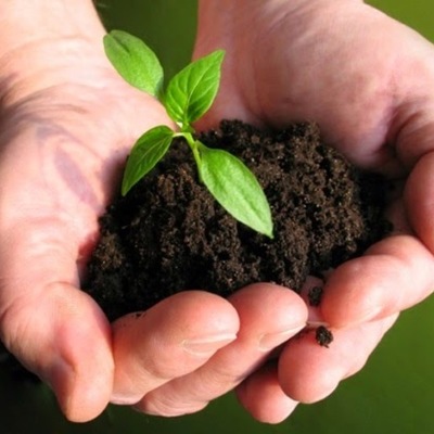 Timeline: Historia de la ecología Carlos Alvarez 4L