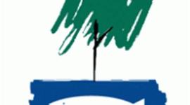 Timeline: HISTORIA DE ADEGA