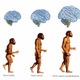Evolucion con cerebro