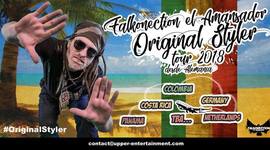 Timeline: Tour Original Styler