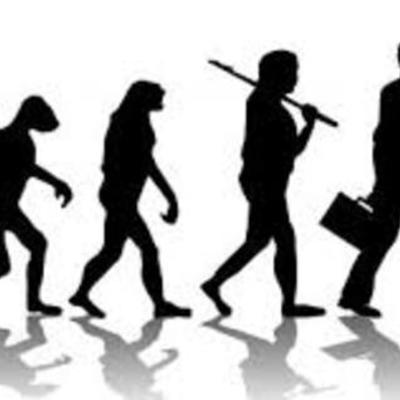 Timeline: La evolución de la economía