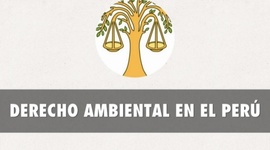 Timeline: DERECHO AMBIENTAL EN EL PERÚ