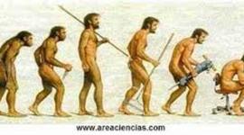 Timeline: la historia del hombre