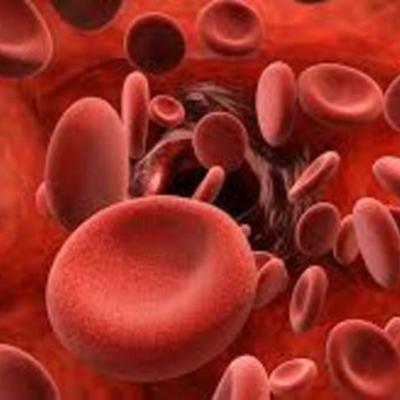 Timeline: The History of Blood (Kyrstin Baldwin Period 1)