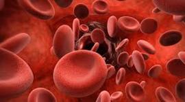 Timeline: The History of Blood (Kyrstin Baldwin Period 1)